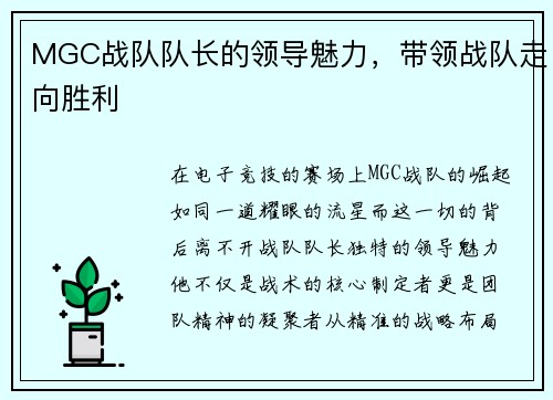 MGC战队队长的领导魅力，带领战队走向胜利