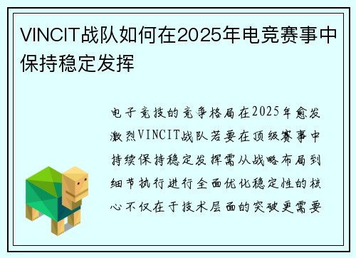VINCIT战队如何在2025年电竞赛事中保持稳定发挥