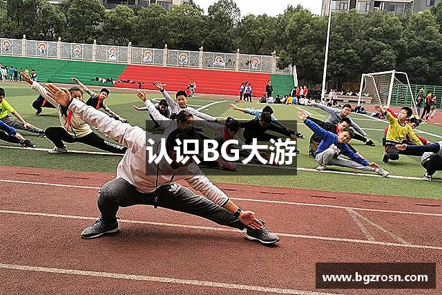 认识BG大游